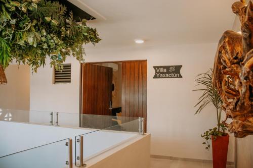 a lobby with a mirror and plants on the wall at Hotel Yaxactun in Progreso