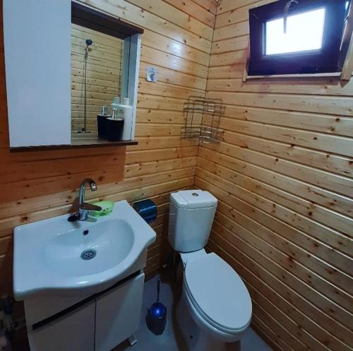 a bathroom with a white toilet and a sink at Cottage in Surami in Surami