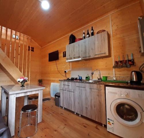 a kitchen with a washing machine in a cabin at Cottage in Surami in Surami