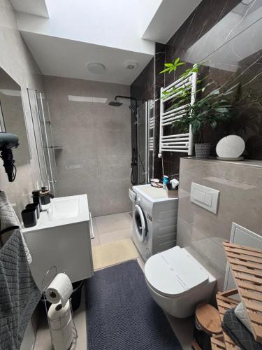 a bathroom with a toilet and a sink and a washing machine at Ferienwohnung-Weinstadt in Weinstadt