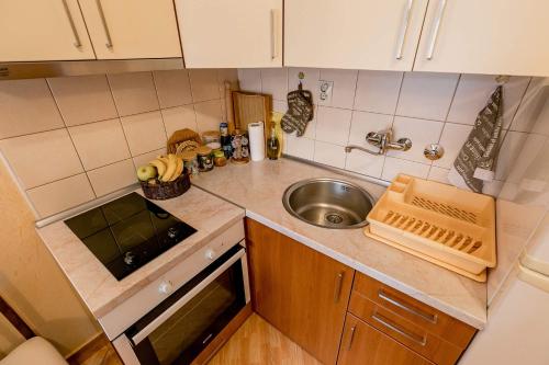 Apartments Gudeljにあるキッチンまたは簡易キッチン