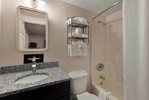 a bathroom with a sink and a toilet and a mirror at Traverse Bay Inn in Traverse City