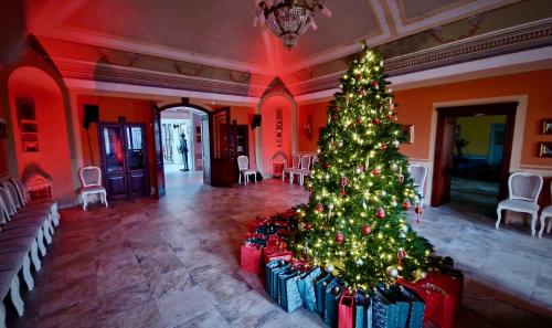 Un arbre de Noël au milieu d'une pièce dans l'établissement Hotel Vécsecity Superior, à Hernádvécse