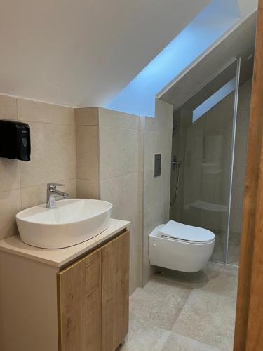 a bathroom with a sink and a toilet at Zlatni Odmor (Centar) in Zlatibor