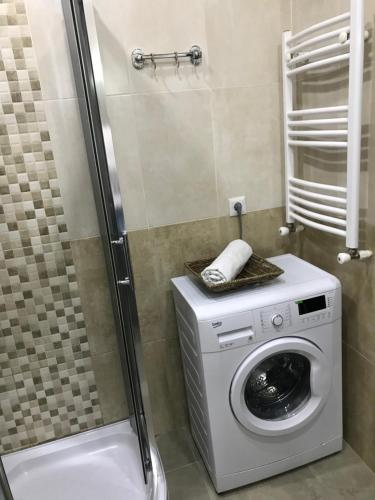 a washing machine in a bathroom with a shower at Ameri Plaza Green Apartments in Tbilisi City