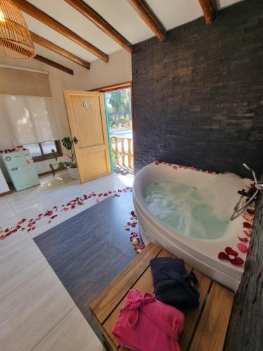 a bathroom with a bath tub with roses on the floor at Reñaca House Bed & Breakfast in Viña del Mar