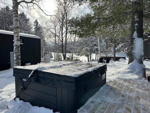 un gran contenedor azul sentado en la nieve en Micro chalet Le Boisé !, en Saint Zenon