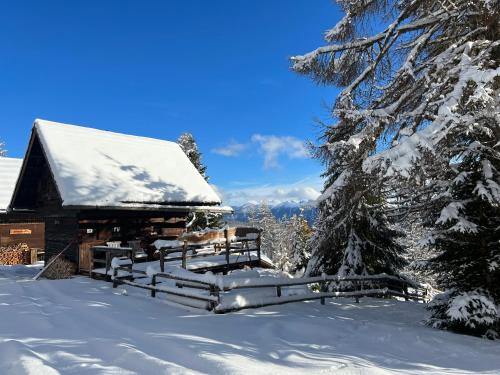 a cabin in the snow with snow covered trees at Almhütte Kärnten in Maltaberg