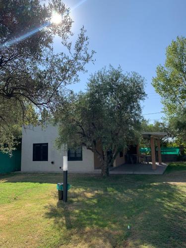 a house with a tree in the yard at 12 Olivos Cabañas in San Rafael