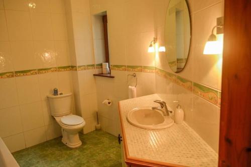 La salle de bains est pourvue de toilettes, d'un lavabo et d'un miroir. dans l'établissement The Mountain Lodge Slievenamon spacious 4 bedroom house, à Cloneen