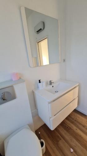 une salle de bain avec un lavabo blanc et un miroir dans l'établissement Charmante maison familiale, à Cambrai