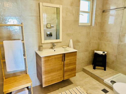 a bathroom with a sink and a mirror and a shower at Luxury Villa at Pelion- Ruby in Zagora