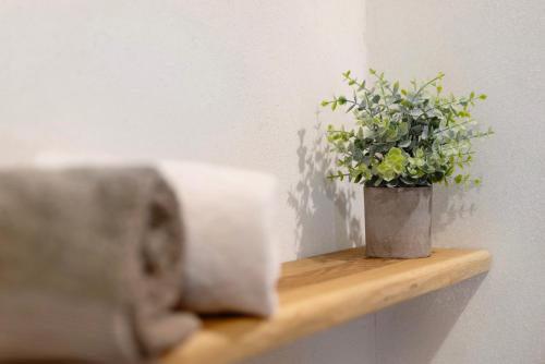 a roll of paper towels and a plant on a shelf at Albchalet in Rosenfeld