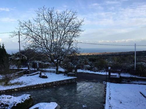 a tree and a river with snow on the ground at Villa_Kleio in Litochoro