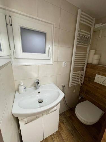 uma casa de banho com um lavatório branco e um WC. em Chata Olomouc Tovéř 