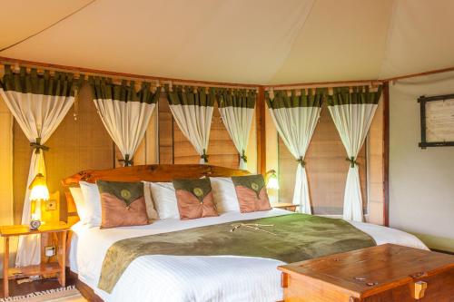 Tipilikwani Mara Camp – Photos 3