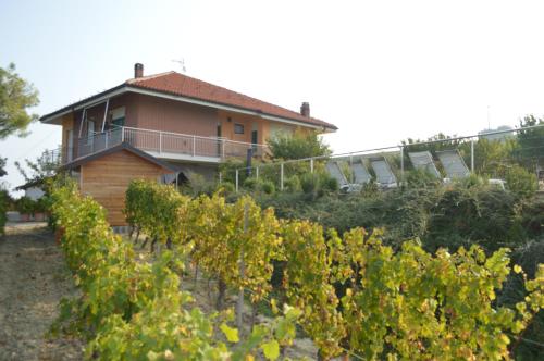 a house on a hill with a bunch of vines at IL VOLO, piscina e wellness in Castiglione Tinella