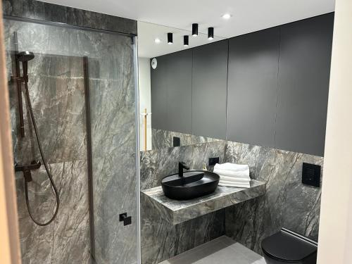 a bathroom with a sink and a shower at Apartamenty Czarne Owce in Szklarska Poręba