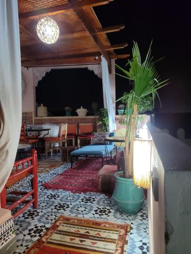 Riad Zahri – Photos 3