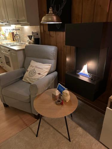 a living room with a couch and a fire place at Cozy cabin with great view and immediate proximity to the ski resort and swimming area in Vradal