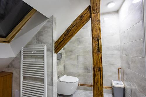 ein Bad mit WC und ein TV an der Wand in der Unterkunft Apartmán u Ljuby in Jáchymov