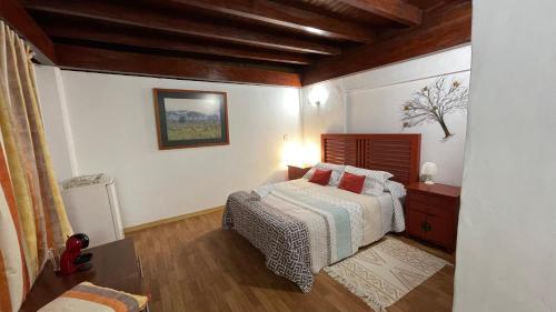 a bedroom with a bed in a room at Can Altavista in Puerto del Rosario