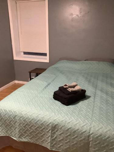 czarna torba siedząca na łóżku w obiekcie Cozy Apt near BU, Lourdes, UHS w mieście Johnson City