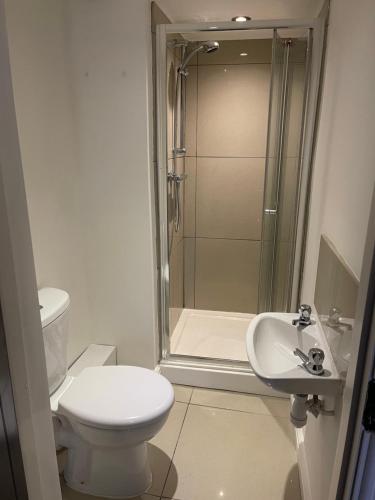 a bathroom with a shower and a toilet and a sink at Stylish 3-Bed Gem in Romiley Newly Renovated, En Suite Comfort, Courtyard Charm, and Effortless Parking in Romiley