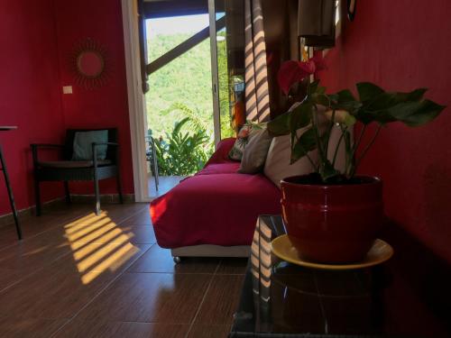 a bedroom with a bed and a potted plant at Bougain Fleuri in Deshaies