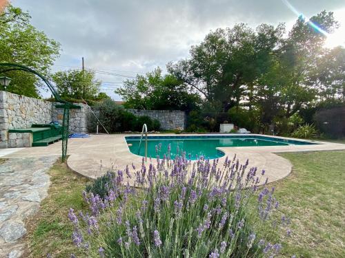 basen w ogrodzie z fioletowymi kwiatami w obiekcie La Bedoya w mieście La Cumbre