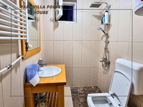 a small bathroom with a sink and a toilet at FarmVilla Forest House in Lipljan