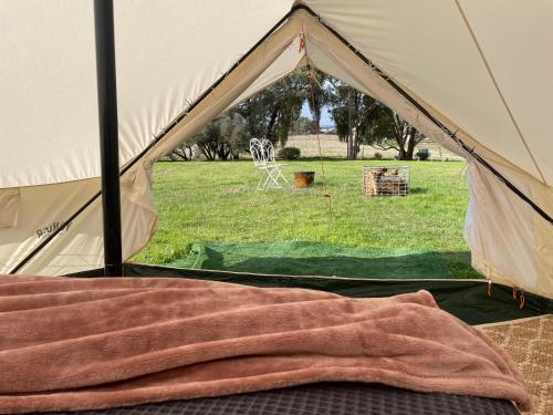 Fotografie z fotogalerie ubytování Cosy Glamping Tent 4 v destinaci Ararat