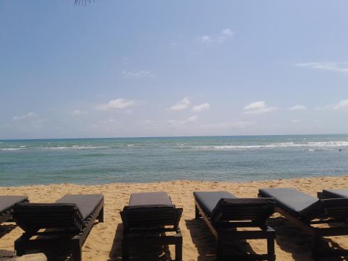 a beach with chaise lounges and the ocean at Afiki in Ankwanda