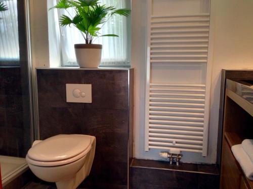 a bathroom with a toilet and a plant in a window at Pension Flughafen Leipzig in Freiroda