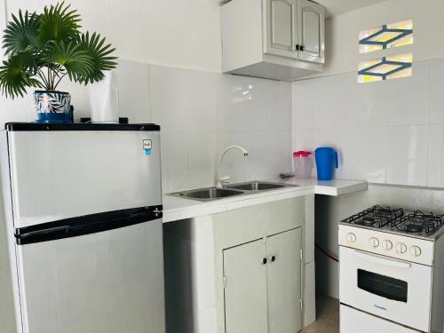 Cuina o zona de cuina de Carola's Garden