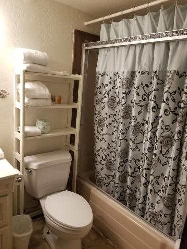a bathroom with a toilet and a shower curtain at Timberline Lodge in Big Bear Lake