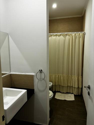 a bathroom with a sink and a toilet and a shower at Al Río in San Antonio de Areco