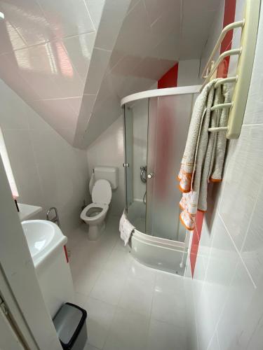 a small bathroom with a toilet and a shower at Cosy bedroom for 2 with Balcony in a Family Villa in Turnu Măgurele