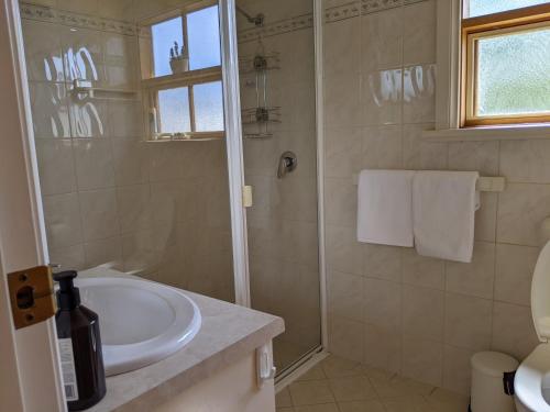bagno con lavandino e doccia di Cottage in Uraidla a Uraidla