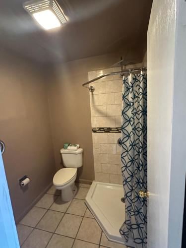 a bathroom with a toilet and a shower at Dream Inn in Tonopah