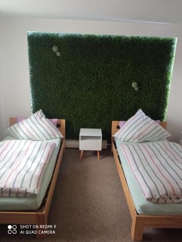 two beds in a room with a green wall at Karolingerweg in Lauterhofen