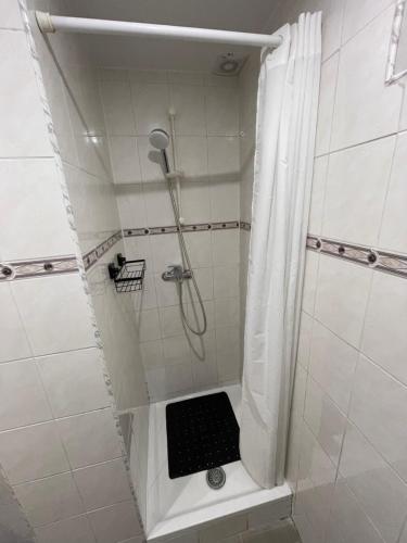 La salle de bains est pourvue d'une douche avec une grille noire. dans l'établissement Appartement au cœur de Bruxelles, à Bruxelles