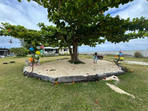 Landskap semula jadi dekat dengan homestay