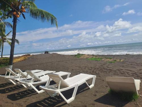 Hotel y Restaurante Sand Piper (New Booking)