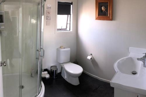 a bathroom with a toilet and a shower and a sink at Whitianga Kiwi Bach in Whitianga