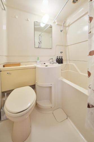 TORA HOTEL Tokyo Ueno 寅ホテル 上野 D