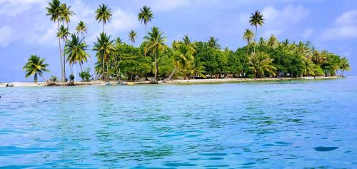 une île tropicale avec des palmiers et de l'eau bleue dans l'établissement Studio Nui 1 Room Fare Tepua Lodge, à Uturoa