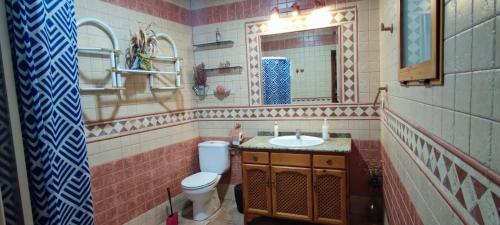 een badkamer met een toilet, een wastafel en een spiegel bij Habitación en Ocaña in Ocaña