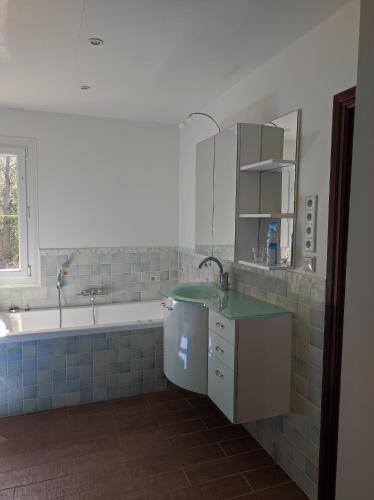 une salle de bain avec un lavabo et une baignoire dans l'établissement Maison pour séjour en famille, à Montesquieu