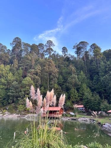 une maison au milieu d'un lac avec des arbres dans l'établissement Los Azufres Spa Natural, à Los Azufres